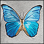 Embroidery of butterflies on a FLASHIN' sweatshirt