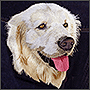 Embroidery of a Labrador on a denim vest