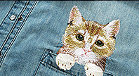 Вышивка кота в кармане