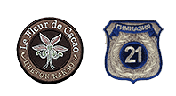 Types of patches