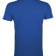 Футболка мужская Regent Fit 150