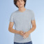 Футболка мужская Regent Fit 150