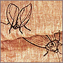 Вышивка насекомых