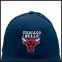    Chicago Bulls