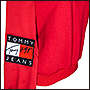 Логотип на толстовку на заказ Tommy Jeans
