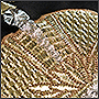 Фото вышивки гладью золотом короны крупным планом, фото