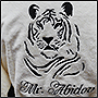 Фото вышивки тигра на спине халата