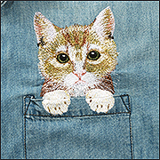 Кот в кармане