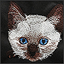Фото вышивки котёнка на крое