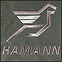Вышитый чехол Hamann