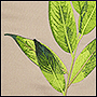 Фото вышивки листьев на крое