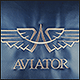 Полотно с логотипом Авиатор