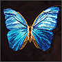 Фото вышивки бабочек для FLASHIN
