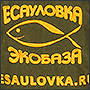Фото вышивки на куртке логотипа экобазы Есауловка