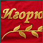 Embroidered lettering Igor is 60