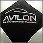 Автомобильная подушка с логотипом Avilon