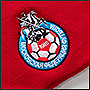 Логотип на шапках для Московской федерации футбола 