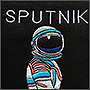 Фото вышивки на толстовках Sputnik
