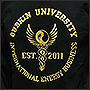 Фото вышивки на толстовке эмблемы университета золотом