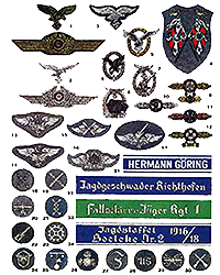 Шевроны ВВС Германии