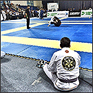    Ribeiro Jiu Jitsu Moscow