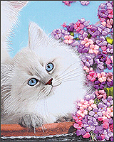 Вышивка котов с цветами лентами