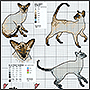 Схема вышивки крестом сиамских кошек