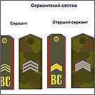 Современные российские шевроны