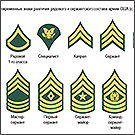 Современные шевроны армии США