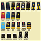 Современные шевроны армии Франции